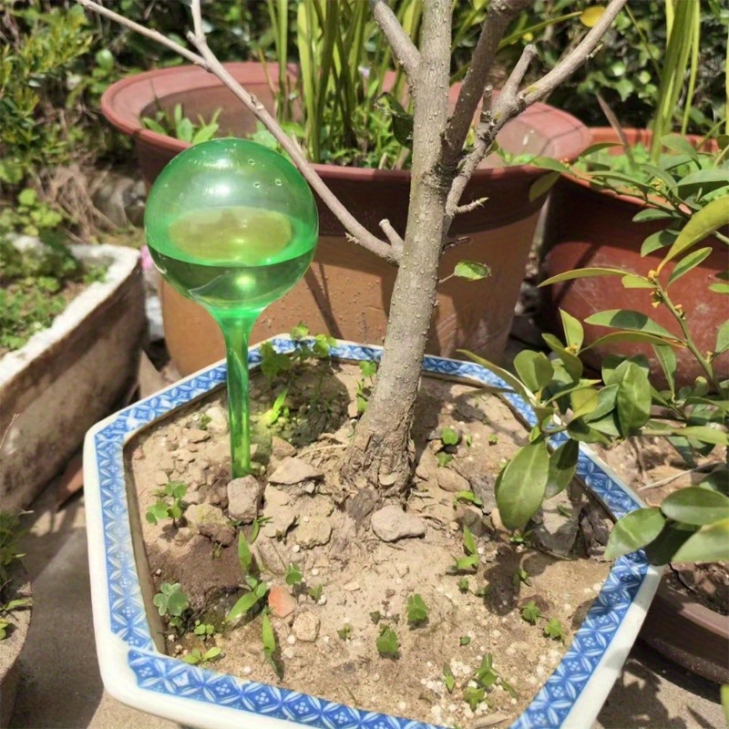 6PCS Indoor Plants Self Wateri - Smart Garden Sprinkler ulasan dan harga