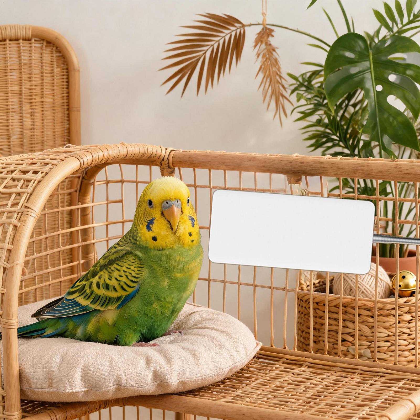 Pet Heater 5V Safe Pet Winter  - Smart Garden Bird Bath ulasan dan harga