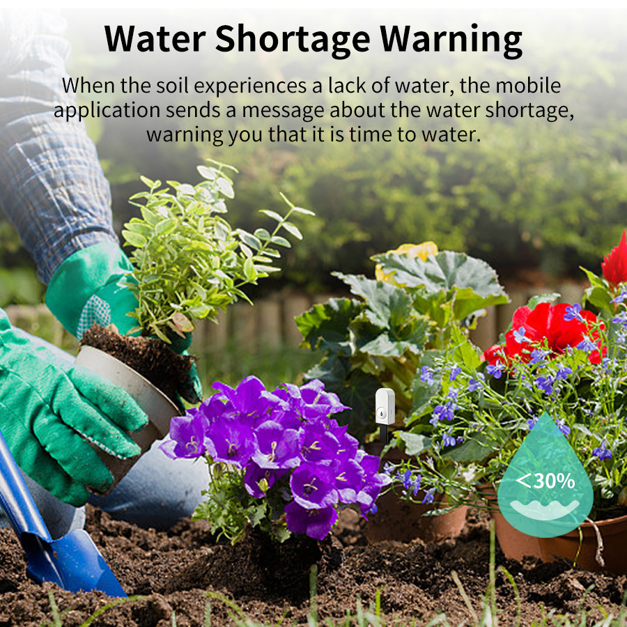 Smart ZigBee Soil Moisture Sen - App Smart Garden ulasan dan harga