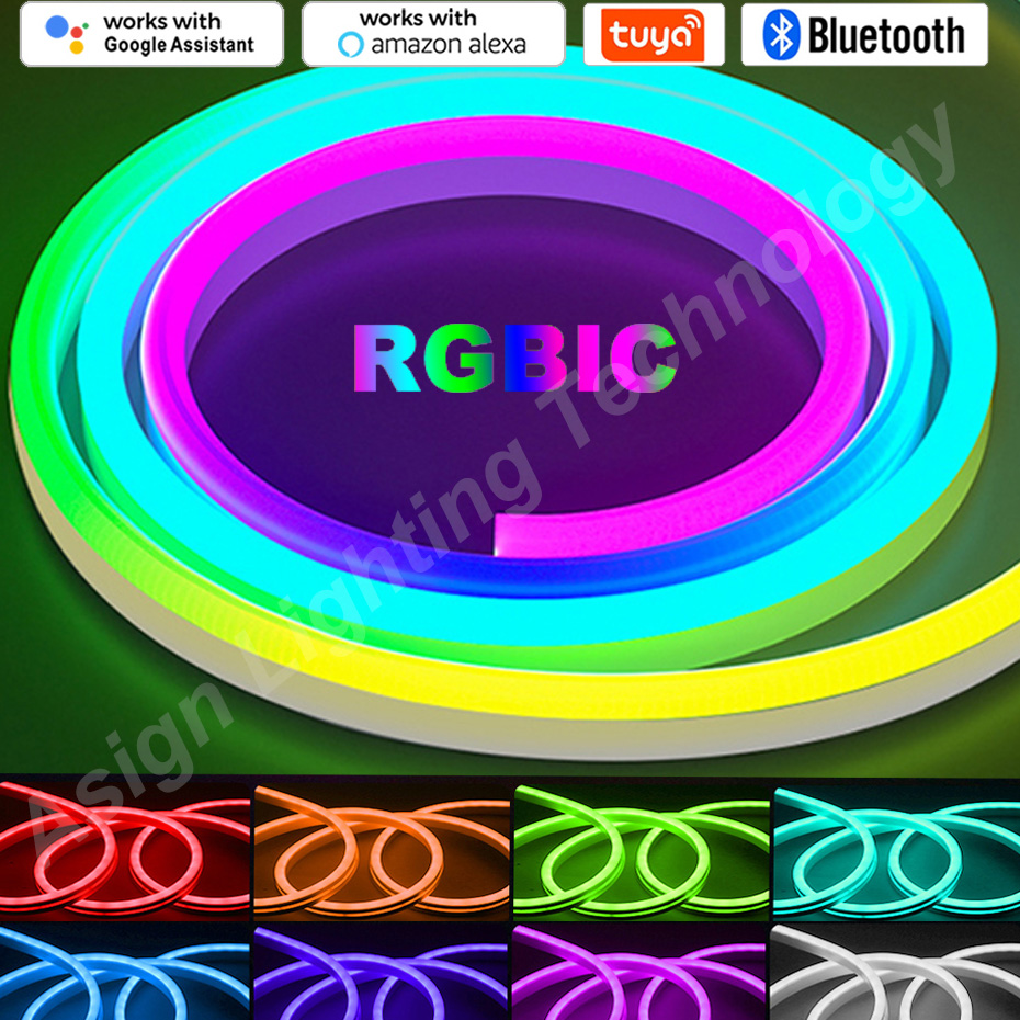 RGBIC LED Neon Strip 12V 96LED - App Smart Garden ulasan dan harga
