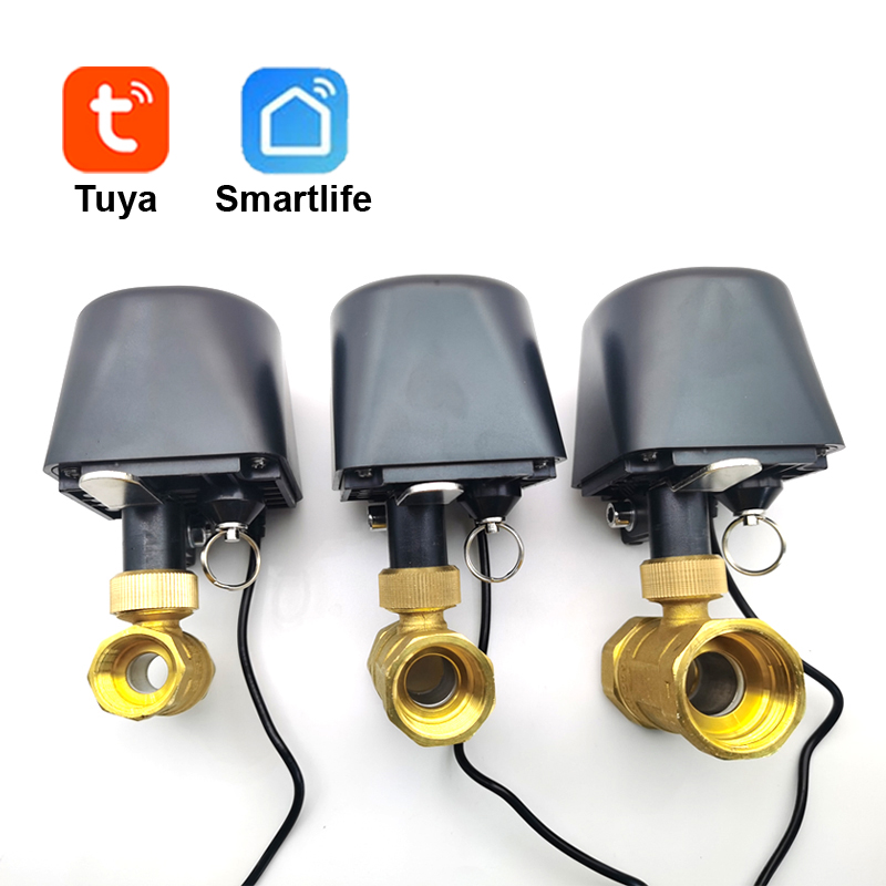 Tuya WiFi or Zigbee Water Valv - Smart Garden Water ulasan dan harga